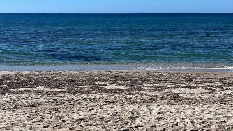 Una spiaggia sabbiosa con alghe sparse si estende verso l'oceano blu calmo sotto un cielo limpido e senza nuvole - una scena invitante per chi desidera investire in un immobile per vacanze o addirittura acquistare un campeggio. 0121Management - l'agente immobiliare per campeggi e immobili per vacanze. 
