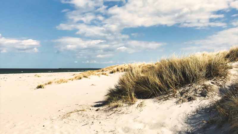 Ein Sandstrand mit hohen, trockenen Gräsern auf Dünen unter einem teilweise bewölkten blauen Himmel. Im Hintergrund schimmert das Meer - eine perfekte Kulisse für Glamping oder als einzigartiger Rückzugsort für eine Ferienimmobilie. 0121Management - der Campingplatz und Ferienimmobilien Makler