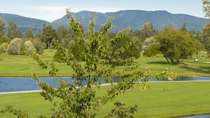 Ein Golfplatz mit saftig grünem Gras, einem kleinen Wasserlauf und verstreuten Bäumen vor bewaldeten Hügeln und einem blauen Himmel - ein einladender Ort, um in eine Ferienimmobilie zu investieren oder die Natur durch Glamping unter dem belaubten Baum im Vordergrund zu erleben. 0121Management - der Campingplatz und Ferienimmobilien Makler