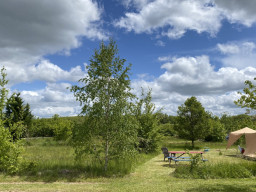 Eine grasbewachsene Lichtung mit vereinzelten Bäumen unter einem teilweise bewölkten Himmel. Ein Picknicktisch, zwei Stühle und ein überdachtes Zelt deuten auf Glamping hin - ein friedlicher Treffpunkt im Freien für alle, die sich auf einzigartige Erlebnisse einlassen wollen. 0121Management - der Campingplatz und Ferienimmobilien Makler