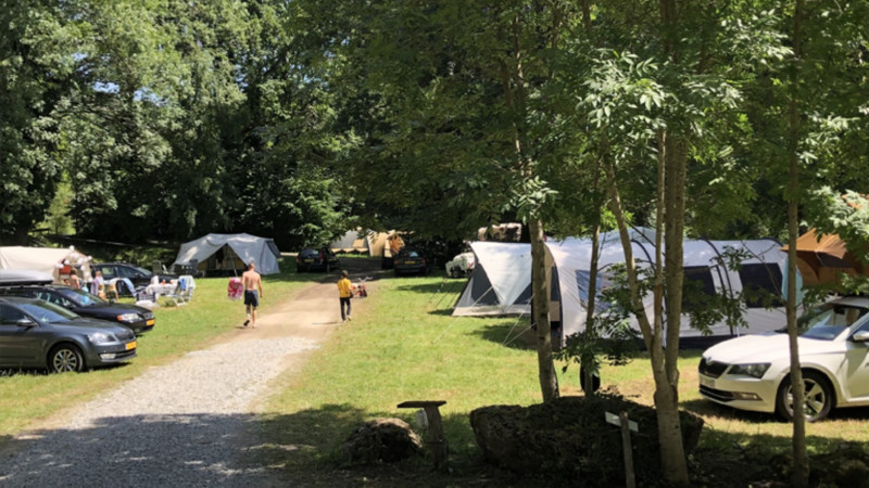 Un campeggio con diverse tende e auto parcheggiate tra gli alberi. Le persone camminano lungo una strada sterrata e i campeggiatori siedono davanti alle loro tende godendosi la natura: un luogo perfetto per investire o persino vendere un campeggio come casa vacanze. 0121Management – ​​l'agenzia immobiliare per campeggi e case vacanze  