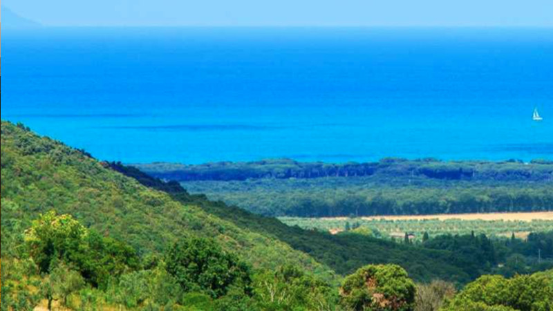 Una lussureggiante collina verde con vista su un bosco e una spiaggia di sabbia, con l'oceano blu brillante e una piccola barca a vela sotto un cielo limpido - un luogo ideale per il glamping o per chi desidera investire in un'opportunità unica per l'acquisto di un campeggio. 0121Management - l'agente immobiliare per campeggi e immobili per vacanze. 
