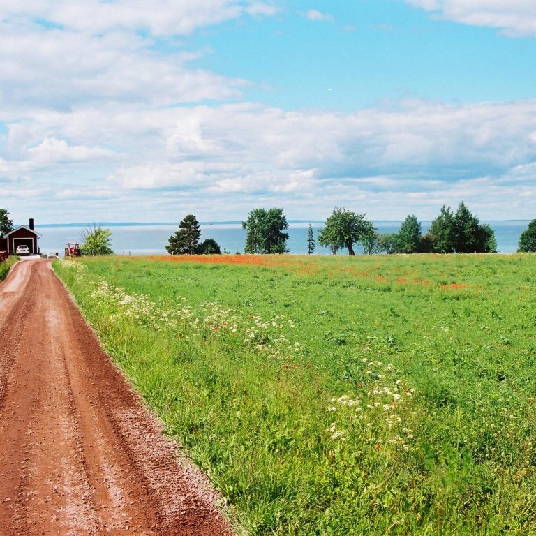 Suche Campingplatz zum Kauf in Schweden