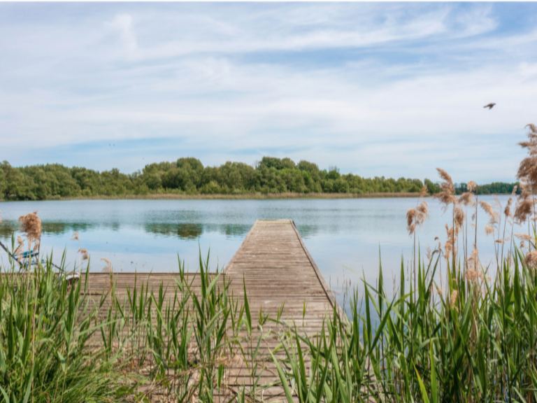 Baugrundstück in Mecklenburg Vorpommern für Ferienwohnungen