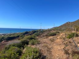 Baugrundstück Sardinien kaufen