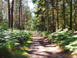 Ferienpark in Niedersachen kaufen